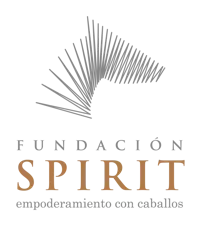 Logo de Fundación Spirit