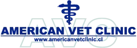 Logo de American Vet Clinic