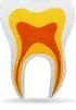 Logo de Centro De Especialidades Odontológicas Ceo
