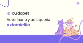 Logo de CuidaPet Veterinario a domicilio