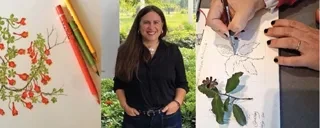 Logo de Taller Introducción a la botánica a través del dibujo