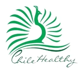 Logo de Chile Healthy Travel