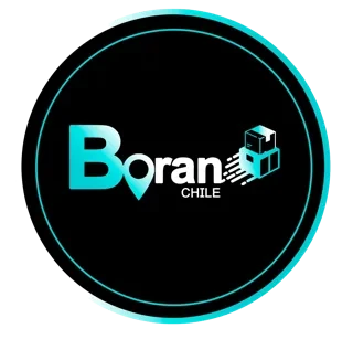 Logo de Boran Chile
