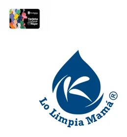 Logo de Lo limpia mamá