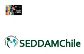 Logo de SEDDAMChile