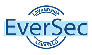 Logo de Eversec Online Ltda