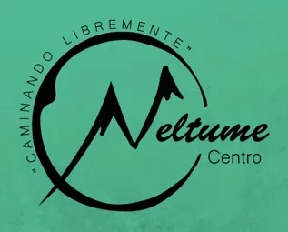 Logo de Neltume Centro