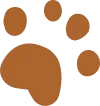 Logo de Onlypatitas