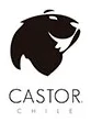 Logo de Castor Watches