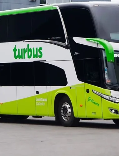 Turbus