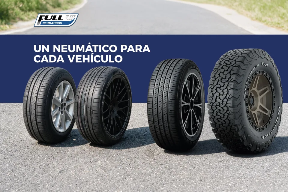 Full Neumáticos