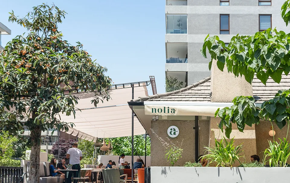 Nolia