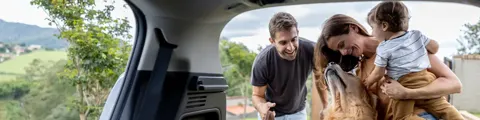 Mitta, automotriz con descuento