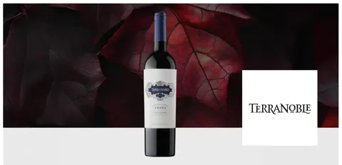 Viña Terra Noble, alimentos y bebidas con descuento