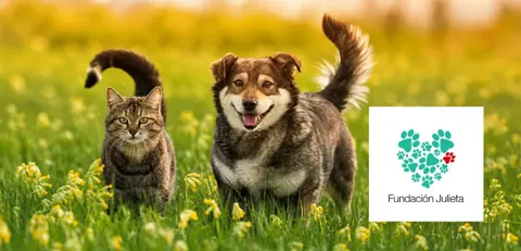 Fundación Julieta, mascotas con descuento
