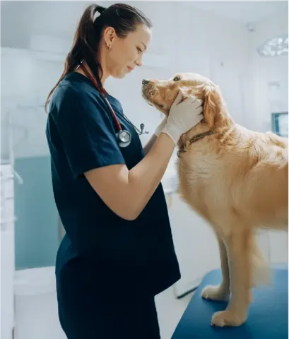 Petsmann, mascotas con descuento