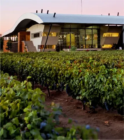 Viña Estampa, restaurantes con descuento