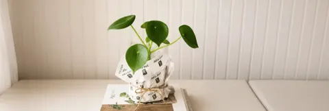 PlantMe, hogar con descuento