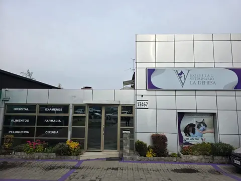 Hospital Veterinario La Dehesa, mascotas con descuento