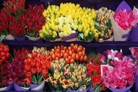 Flores Bachos, flores y regalos con descuento