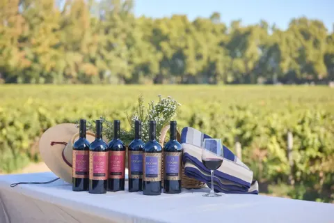 Viña Aromo, restaurantes con descuento