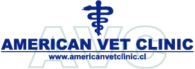 American Vet Clinic, mascotas con descuento