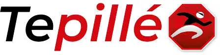 Te Pille, servicios con descuento