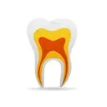Centro De Especialidades Odontológicas Ceo, salud con descuento