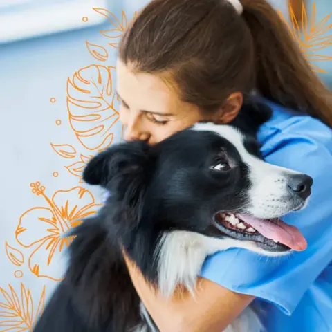 Veterinaria Mundo Kahu, entretención con descuento