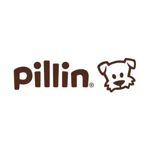 Pillin, niños y juguetes con descuento
