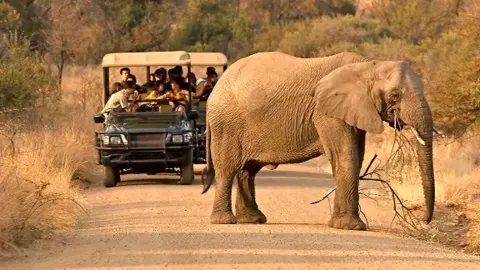 Safari por Sudáfrica, viajes con descuento