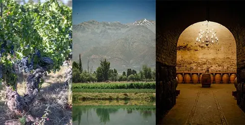 Viña Cousiño Macul, alimentos y bebidas con descuento