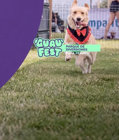 Guau Fest, mascotas con descuento