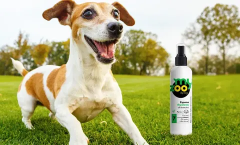 MyZoo, mascotas con descuento