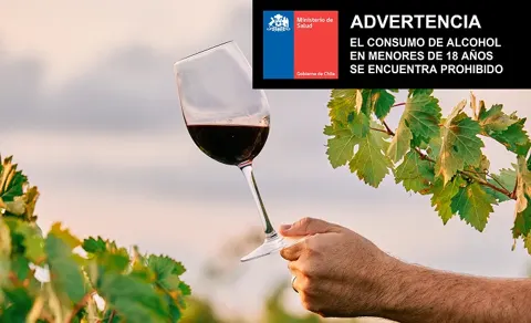 Vinopolis, restaurantes con descuento
