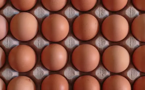 Muy Huevos Dias, servicios con descuento