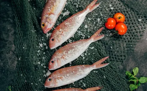 Pescadería La Reineta, servicios con descuento