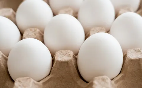 Talentoso con los Huevos, servicios con descuento