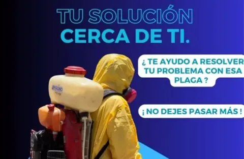 Magno Servicios Control de Plagas, servicios con descuento