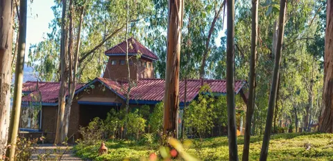 Colinas de Cuncumen, viajes con descuento
