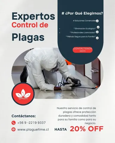 Plague Time, hogar con descuento