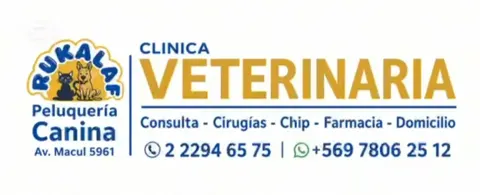 Veterinaria Rukalaf, mascotas con descuento