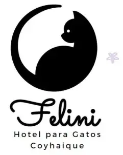 Felini Hotel Para Gatos, mascotas con descuento