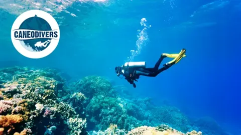 Caneo Divers, entretención con descuento