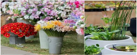 Viveros y Jardines VD 2026, entretención con descuento