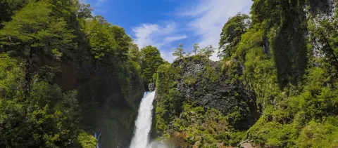 Cabañas de Bosque, viajes con descuento
