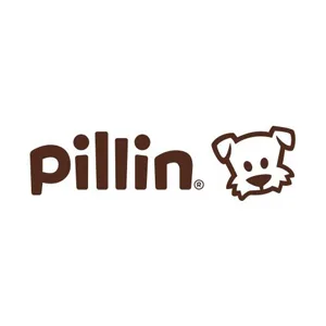 Pillin cyber