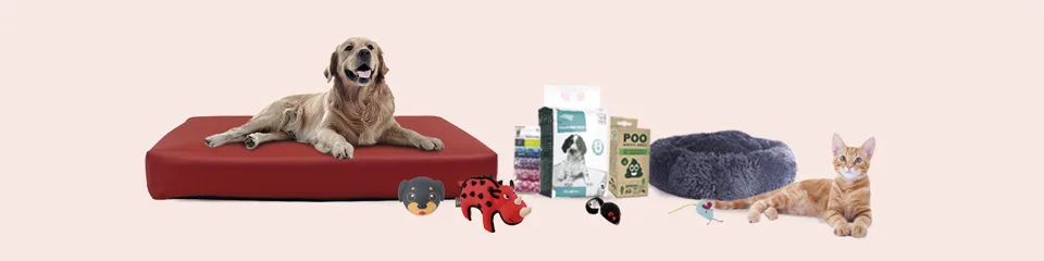 SuperZoo